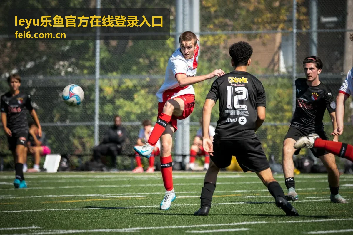 乐鱼平台高清游戏画面
