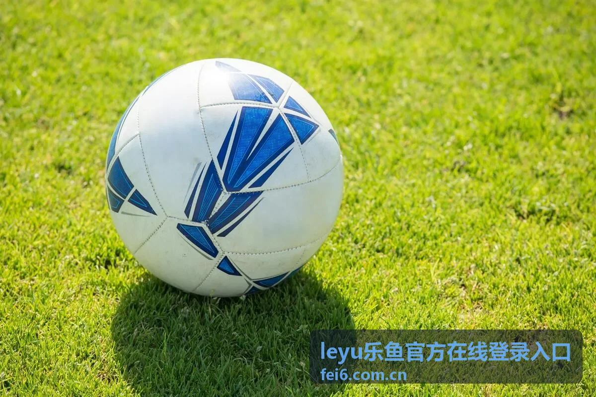 乐鱼官方在线登录入口活动中心奖励进度展示